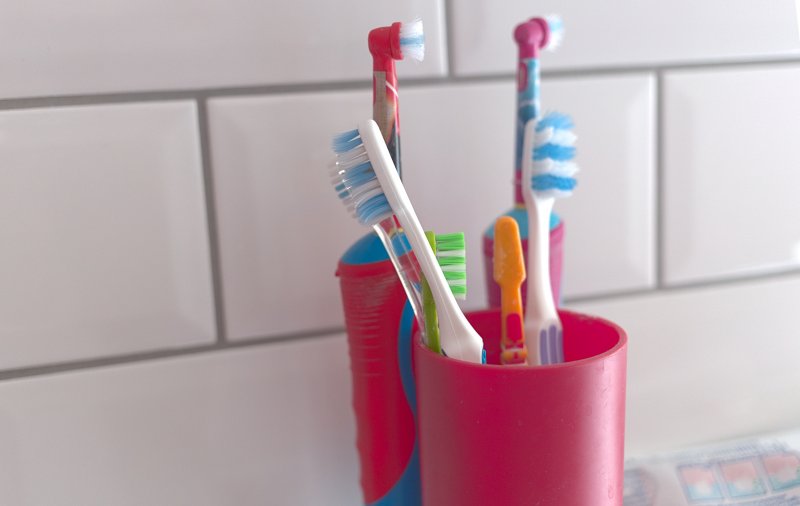 Multiple toothbrushes sitting upright in holders on a bathroom countertop